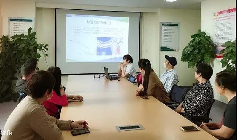 AI站群技术革新与应用现状
